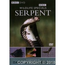 wild life specials serpent