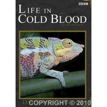Life cold Blood